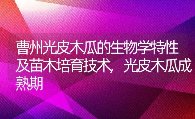 曹州光皮木瓜的生物学特性及苗木培育技术,光皮木瓜成熟期 | 养殖常见问题