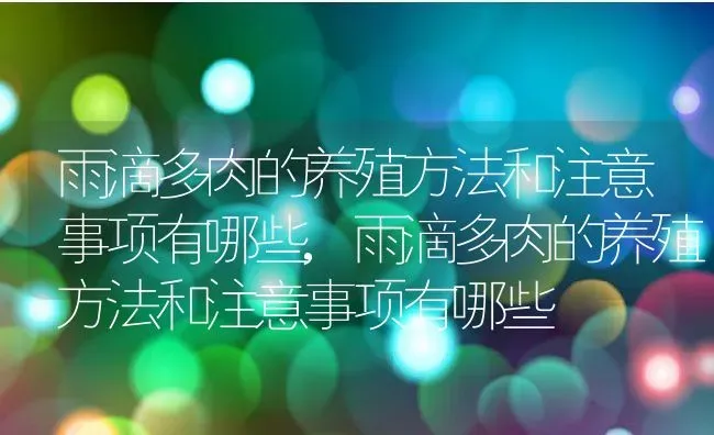 雨滴多肉的养殖方法和注意事项有哪些,雨滴多肉的养殖方法和注意事项有哪些 | 养殖常见问题