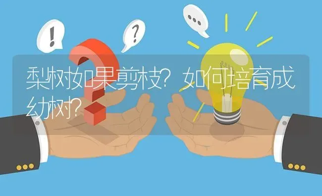 梨树如果剪枝?如何培育成幼树? | 养殖问题解答