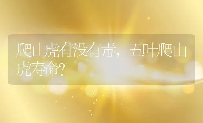 爬山虎有没有毒,五叶爬山虎寿命？ | 养殖常见问题