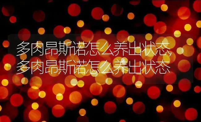 多肉昂斯诺怎么养出状态,多肉昂斯诺怎么养出状态 | 养殖常见问题