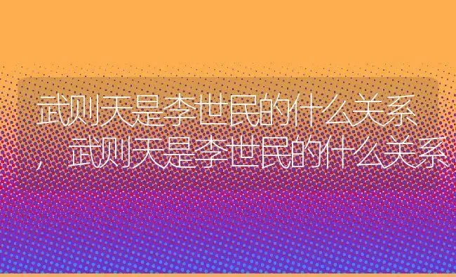 武则天是李世民的什么关系,武则天是李世民的什么关系 | 养殖常见问题