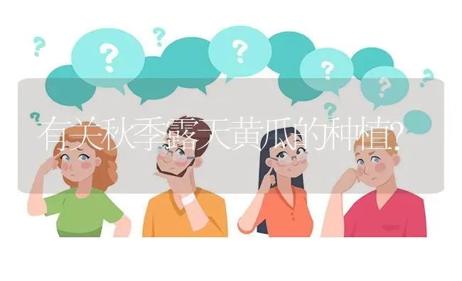 有关秋季露天黄瓜的种植? | 养殖问题解答