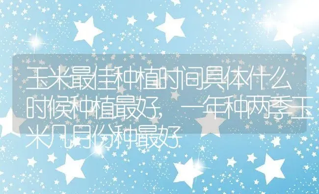 玉米最佳种植时间具体什么时候种植最好,一年种两季玉米几月份种最好 | 养殖常见问题