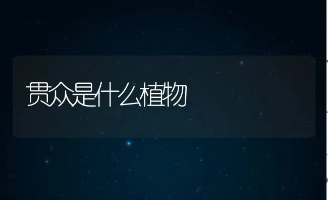 贯众是什么植物 | 养殖常见问题
