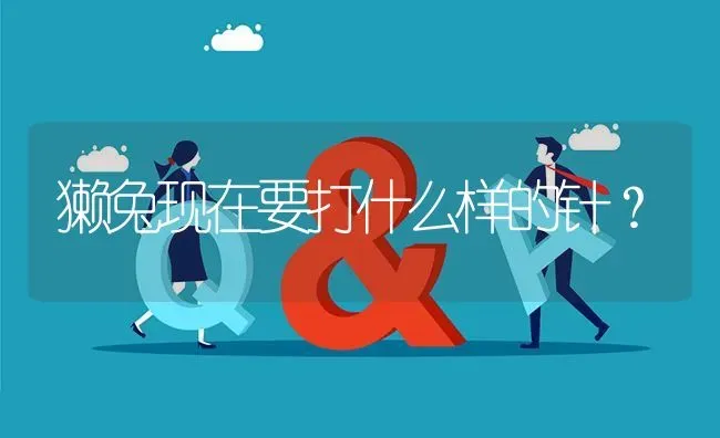 獭兔现在要打什么样的针? | 养殖问题解答