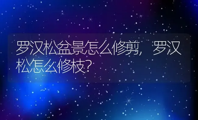 罗汉松盆景怎么修剪,罗汉松怎么修枝？ | 养殖常见问题