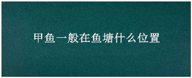 甲鱼一般在鱼塘什么位置 | 农业常识