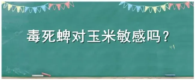 毒死蜱对玉米敏感吗 | 农业答疑