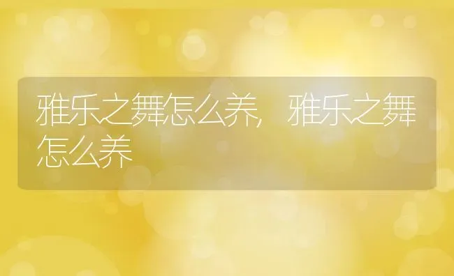 雅乐之舞怎么养,雅乐之舞怎么养 | 养殖常见问题