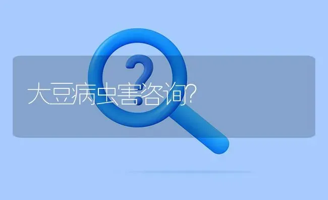 大豆病虫害咨询? | 养殖问题解答