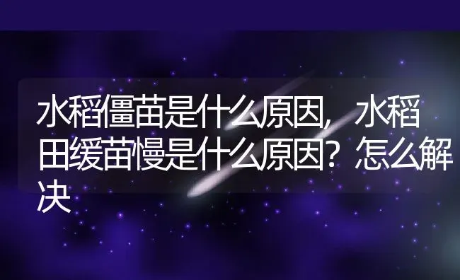 水稻僵苗是什么原因,水稻田缓苗慢是什么原因？怎么解决 | 养殖常见问题