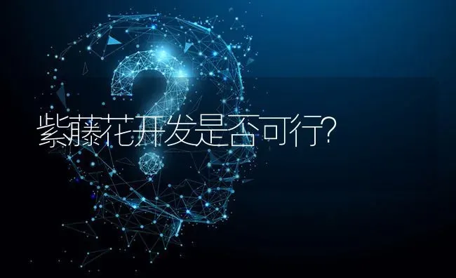 紫藤花开发是否可行? | 养殖问题解答