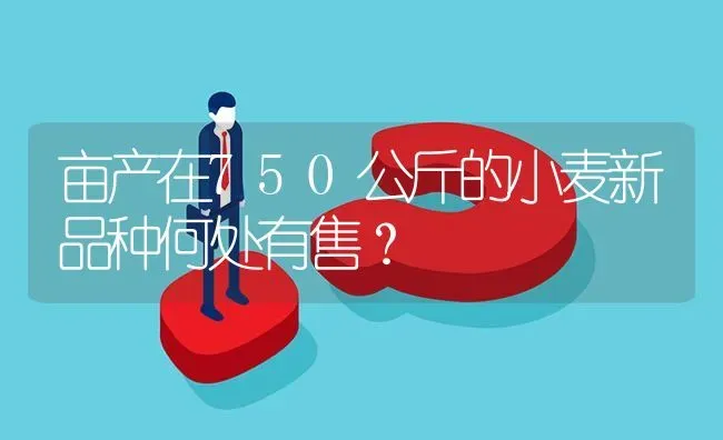 亩产在750公斤的小麦新品种何处有售? | 养殖问题解答