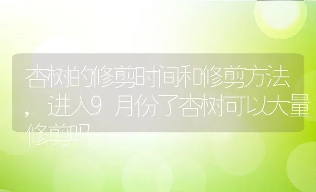 杏树的修剪时间和修剪方法,进入9月份了杏树可以大量修剪吗 | 养殖常见问题