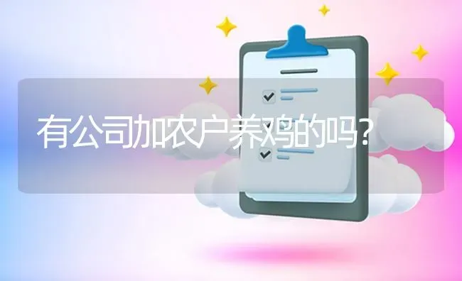 有公司加农户养鸡的吗? | 养殖问题解答