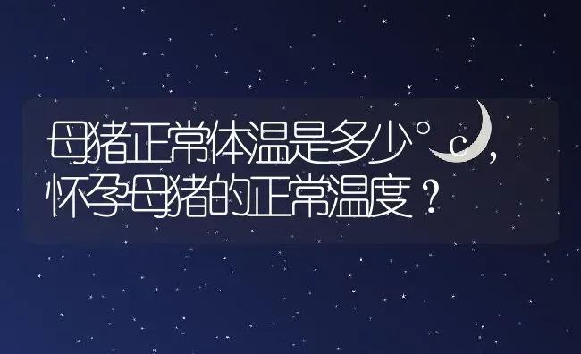 母猪正常体温是多少°c,怀孕母猪的正常温度？ | 养殖常见问题