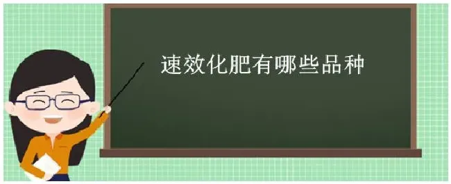 速效化肥有哪些品种 | 三农答疑