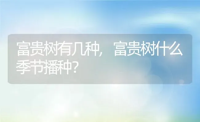 富贵树有几种,富贵树什么季节播种？ | 养殖常见问题