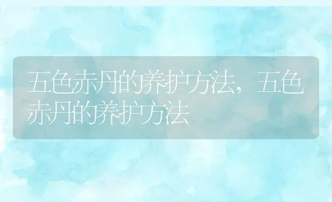 五色赤丹的养护方法,五色赤丹的养护方法 | 养殖常见问题