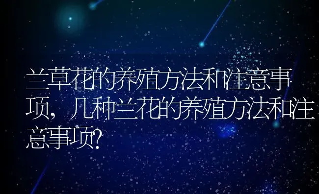 兰草花的养殖方法和注意事项,几种兰花的养殖方法和注意事项？ | 养殖常见问题