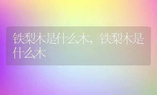 铁梨木是什么木,铁梨木是什么木 | 养殖常见问题