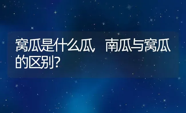 窝瓜是什么瓜,南瓜与窝瓜的区别？ | 养殖常见问题
