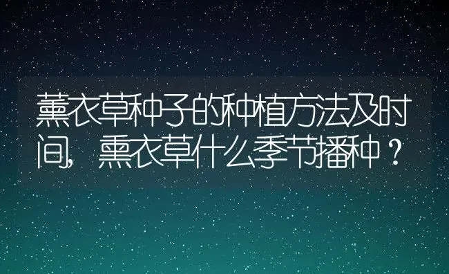 薰衣草种子的种植方法及时间,熏衣草什么季节播种？ | 养殖常见问题