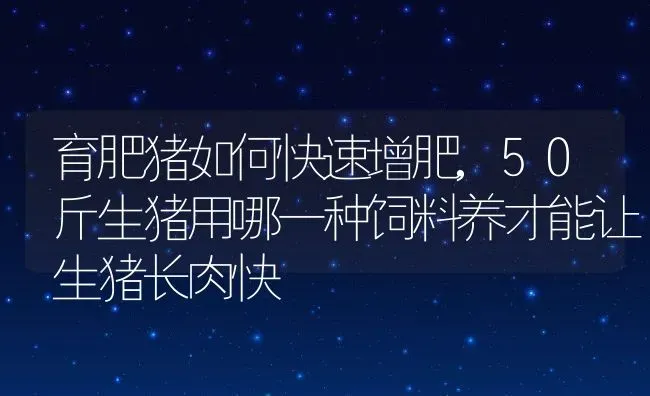 育肥猪如何快速增肥,50斤生猪用哪一种饲料养才能让生猪长肉快 | 养殖常见问题