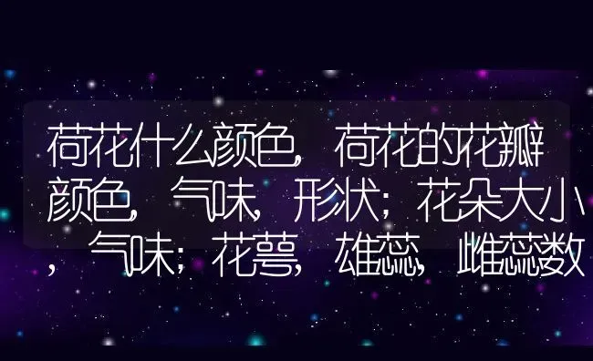 荷花什么颜色,荷花的花瓣颜色,气味,形状;花朵大小,气味;花萼,雄蕊,雌蕊数目 | 养殖常见问题