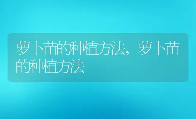 萝卜苗的种植方法,萝卜苗的种植方法 | 养殖常见问题