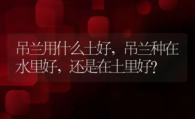 吊兰用什么土好,吊兰种在水里好，还是在土里好？ | 养殖常见问题