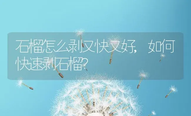 石榴怎么剥又快又好,如何快速剥石榴？ | 养殖常见问题