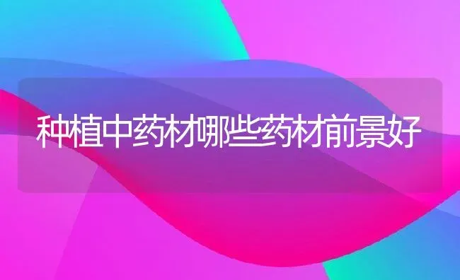 种植中药材哪些药材前景好 | 养殖常见问题