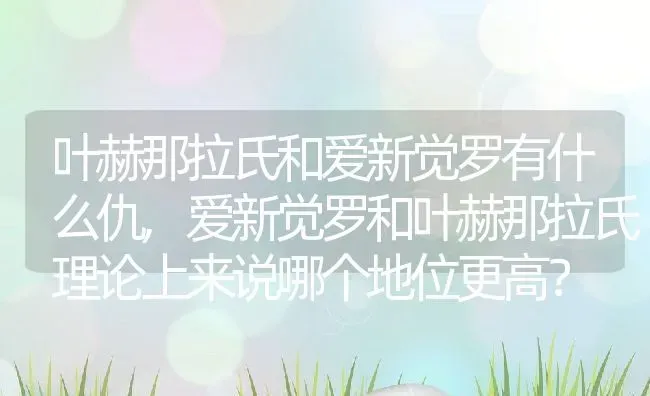 叶赫那拉氏和爱新觉罗有什么仇,爱新觉罗和叶赫那拉氏理论上来说哪个地位更高？ | 养殖常见问题