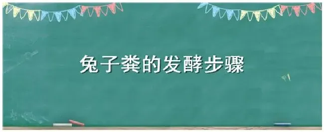 兔子粪的发酵步骤 | 三农问答