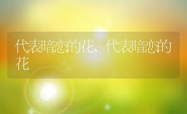 代表暗恋的花,代表暗恋的花 | 养殖常见问题