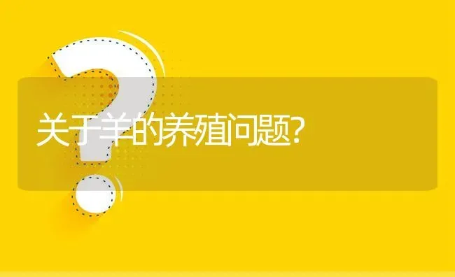 关于羊的养殖问题? | 养殖问题解答