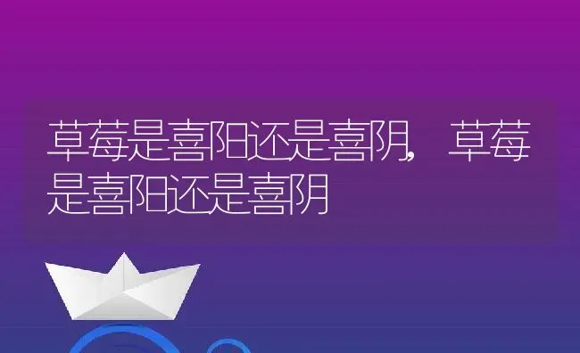 太子太傅和太子少傅什么区别,太傅是何官职？ | 养殖常见问题