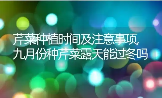 芹菜种植时间及注意事项,九月份种芹菜露天能过冬吗 | 养殖常见问题