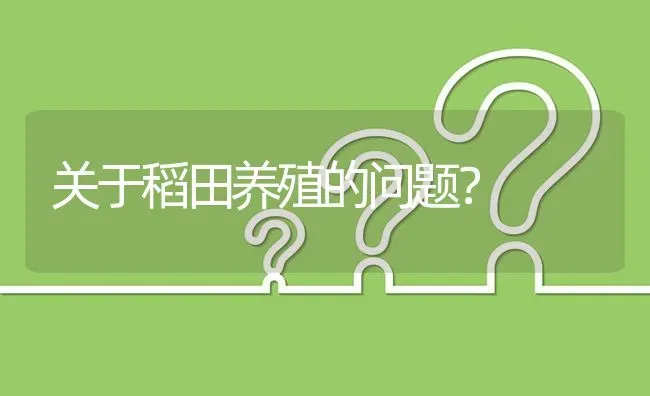 关于稻田养殖的问题? | 养殖问题解答