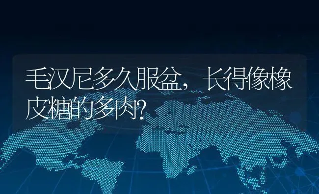 毛汉尼多久服盆,长得像橡皮糖的多肉？ | 养殖常见问题