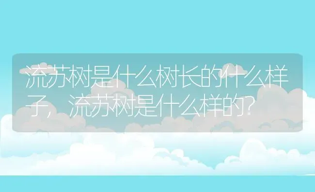 流苏树是什么树长的什么样子,流苏树是什么样的？ | 养殖常见问题