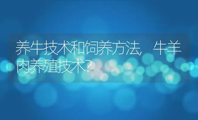 养牛技术和饲养方法,牛羊肉养殖技术？ | 养殖常见问题
