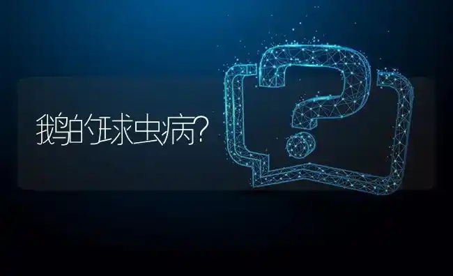 鹅的球虫病? | 养殖问题解答