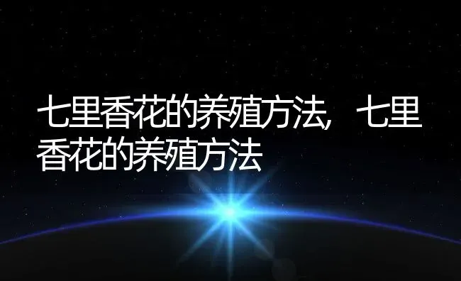 七里香花的养殖方法,七里香花的养殖方法 | 养殖常见问题