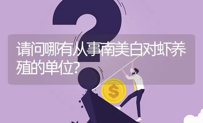 请问哪有从事南美白对虾养殖的单位? | 养殖问题解答