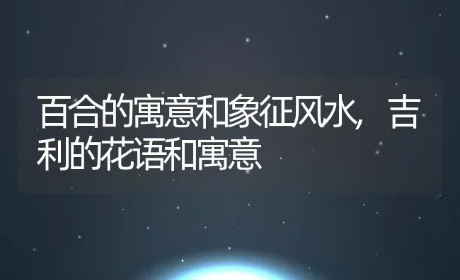 百合的寓意和象征风水,吉利的花语和寓意 | 养殖常见问题