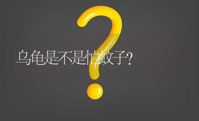 乌龟是不是怕蚊子? | 养殖问题解答