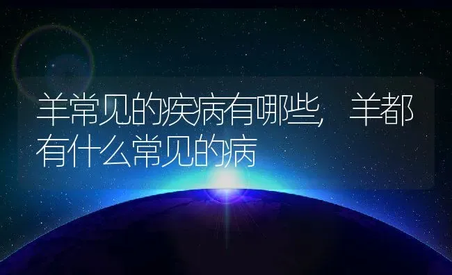 羊常见的疾病有哪些,羊都有什么常见的病 | 养殖常见问题